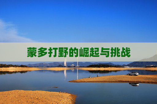 蒙多打野的崛起与挑战 蒙多打野的崛起与挑战