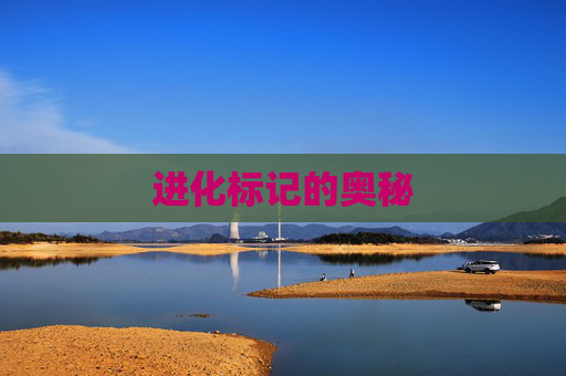 进化标记的奥秘 进化标记的奥秘