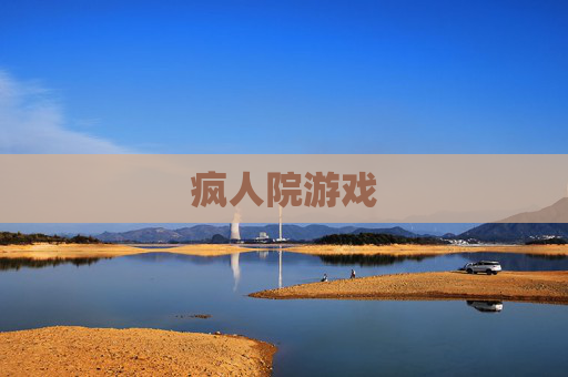 疯人院游戏