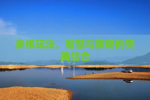 象棋玩法,智慧与策略的完美结合 象棋玩法,智慧与策略的完美结合