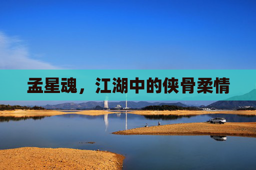 孟星魂,江湖中的侠骨柔情 孟星魂,江湖中的侠骨柔情