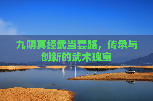 九阴真经武当套路，传承与创新的武术瑰宝