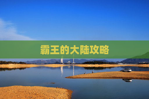 霸王的大陆攻略 霸王的大陆攻略