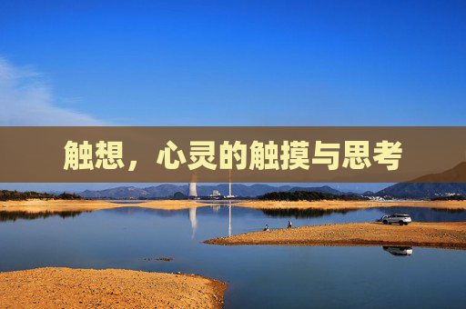 触想,心灵的触摸与思考 触想,心灵的触摸与思考