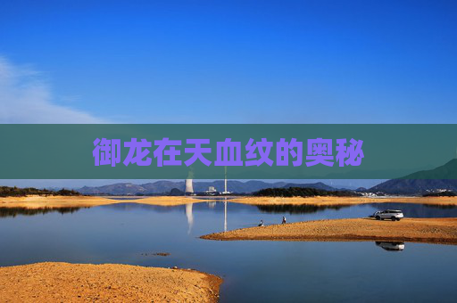 御龙在天血纹的奥秘 御龙在天血纹的奥秘