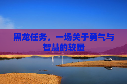 黑龙任务，一场关于勇气与智慧的较量
