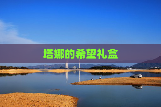 塔娜的希望礼盒