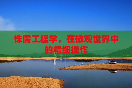 侏儒工程学,在微观世界中的精细操作 侏儒工程学,在微观世界中的精细操作